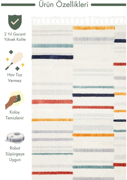 Tabasco Serisi Etnik Desenli Oturma Odası Salon Koridor Antre Modern Iskindinav Halı Tab 01 Multy