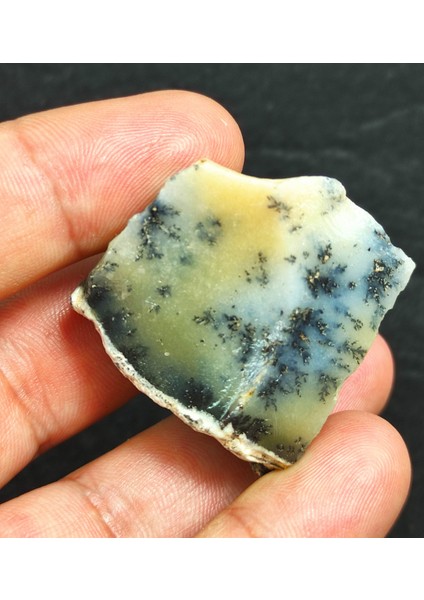 Hakiki Dekoratif Dendritli Süt Opal Doğal Taş A49