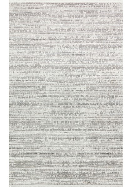 Smooth Yıkanabilir Kaymaz Parlak Oturma Odası Salon Koridor Ince Dokuma Modern Halı 101 D.grey Xw