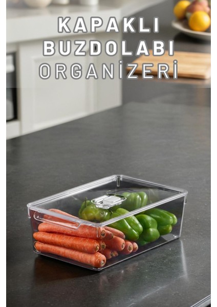 Buzdolabı Dolapiçi Düzenleyici Organizer Kapaklı Tekli (Midi)