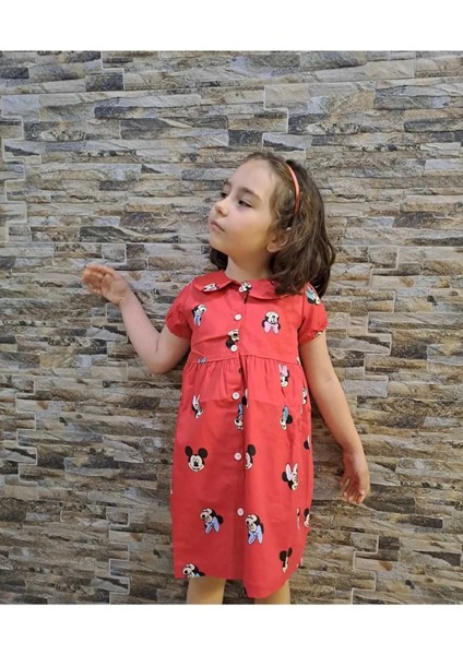 Minnie Nakışlı Kız Çocuk Pembe Elbise fiyatları