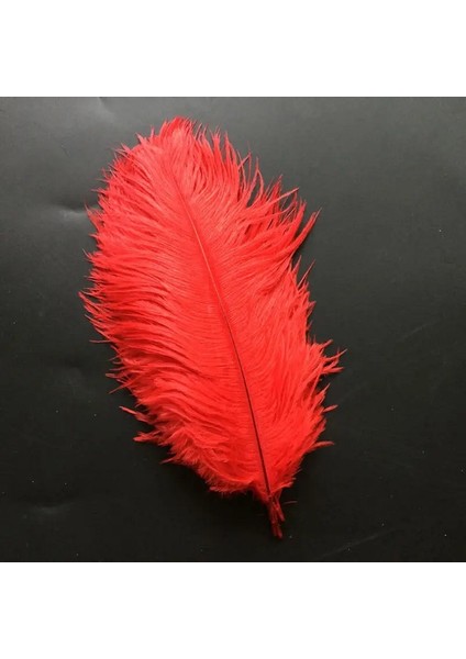 400 Pcs Decor Red Bırd Feather 400 Adet Kırmızı Kuş Tüyü Kırmızı Şeffaf Balon Tüyü Süsleme Tüyü