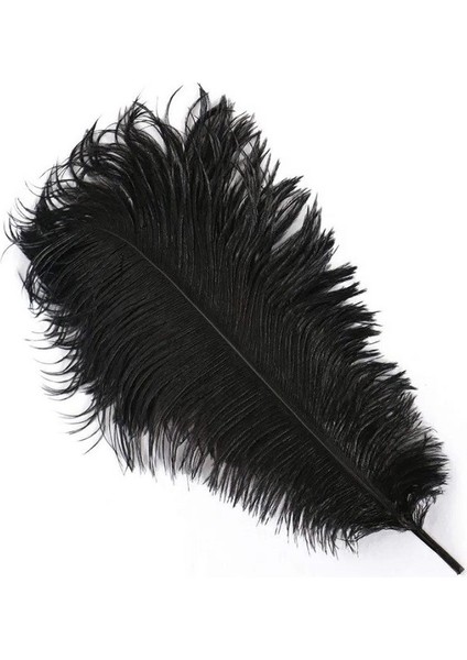 400 Pcs Decor Vıp Black Bırd Feather 400 Adet Siyah Kuş Tüyü Siyah Şeffaf Balon Tüyü Süsleme Tüyü