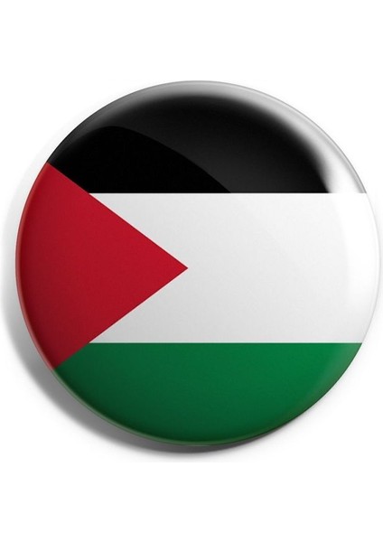 Major Selection Filistin Bayrağı Deneme Iğneli Çanta Yeni Rozet I