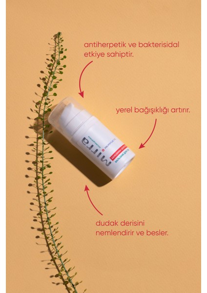 Lip Balm - Dudak Antiherpatic - Uçuk Bakım Kremi modelleri