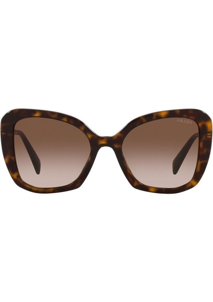 GÜNEŞ GÖZLÜĞÜ PRADA PR 03YS 53 2AU6S1