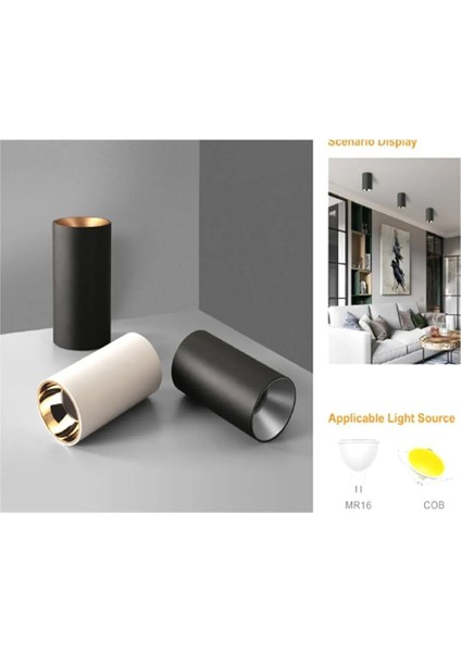 Dekoratif Sıvaüstü Silindir LED Spot Beyaz / Krom Aydınlatma indirimleri