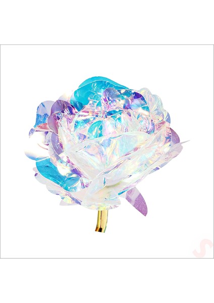 Sonsuzluk Gülü, 25 cm x 8cm - Hologram