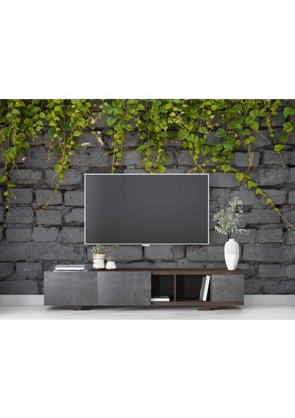 Gri Tuğla Duvar ve Sarmaşık modelleri