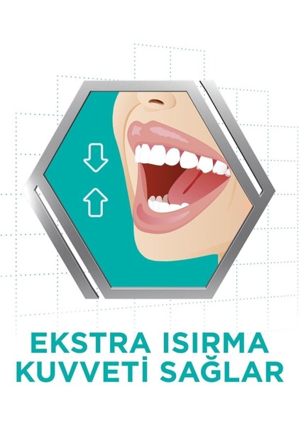 Protez Yapıştırıcı Krem Naneli 40gr X6 Adet
