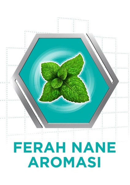Protez Yapıştırıcı Krem Naneli 40gr X6 Adet