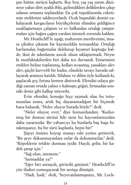 Uğultulu Tepeler - Emily Bronte