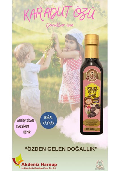 Akdeniz Harnup - Karadut Özü 340G Kız Çocuk Için Pembe- Black Mulberry Extract For Girls