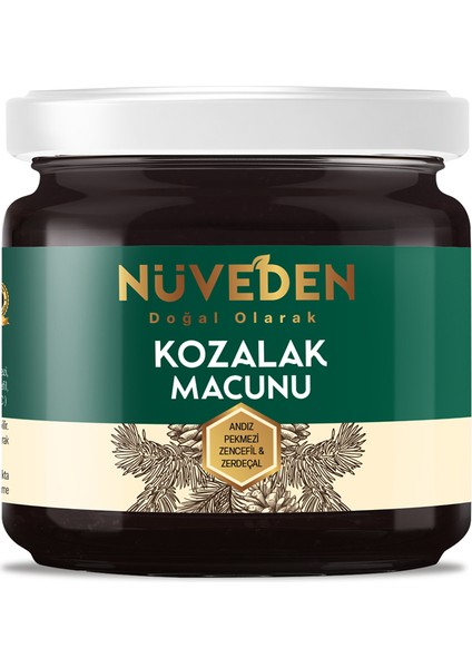 Kozalak Macunu Çam Kozalağı 240 gr Çiçek Balı-Andız Pekmezi-Zerdeçal-Zencefil C Vitaminli