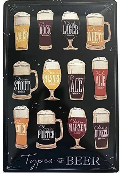 Koleksiyon Types Of Beer Metal Plaka Levha 20X30CM