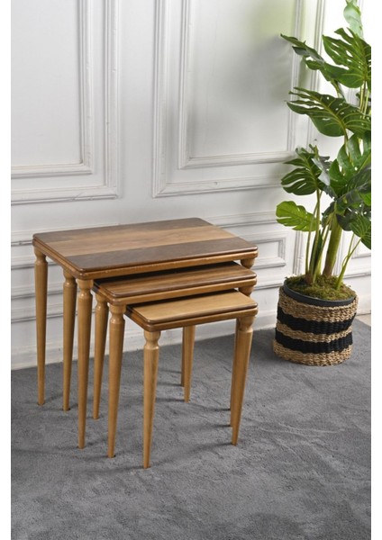 3'lü Zigon Sehpa Takımı fiyatları