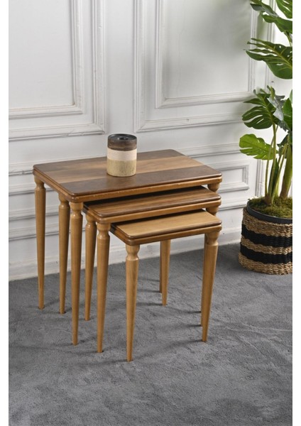 3'lü Zigon Sehpa Takımı fırsatları