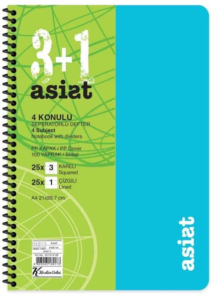 Defter A4 3+1 100 Yaprak Ayraçlı Plastik Kapak Asist