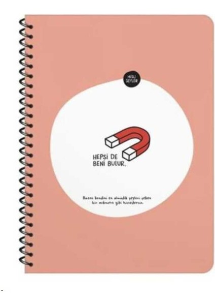 Hisli Şeyler A4 80 Yp.çigili Spiralli Stickerli Defter Hepsi De Beni Bulur