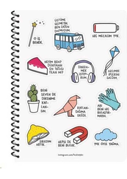 Hisli Şeyler A4 80 Yp.çigili Spiralli Stickerli Defter Hepsi De Beni Bulur fiyatları