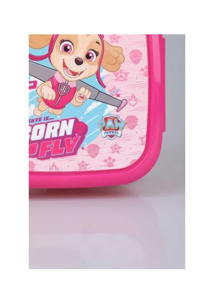 Paw Patrol Lisanslı Pembe Köpek Desenli 3 Bölmeli Çocuk Kaşık ve Çatal Beslenme Kutusu Saklama Kabı fiyatları