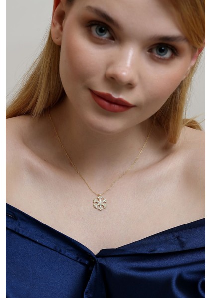 Zirkon Taşlı Kar Tanesi Gümüş Kadın Kolye, 925 Ayar, Hediye Paketli fiyatları