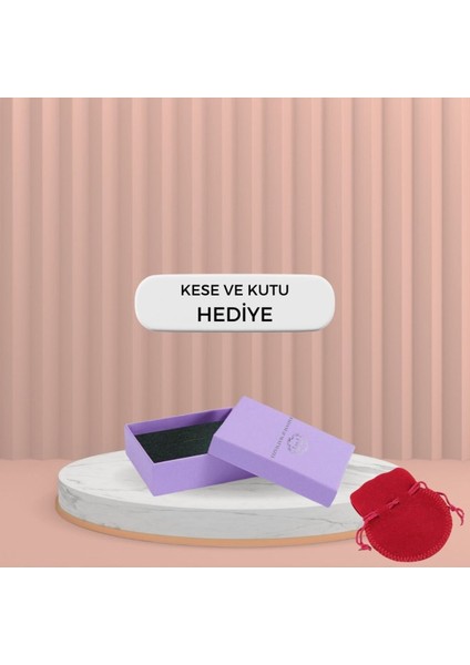 Zirkon Taşlı Kar Tanesi Gümüş Kadın Kolye, 925 Ayar, Hediye Paketli fırsatları