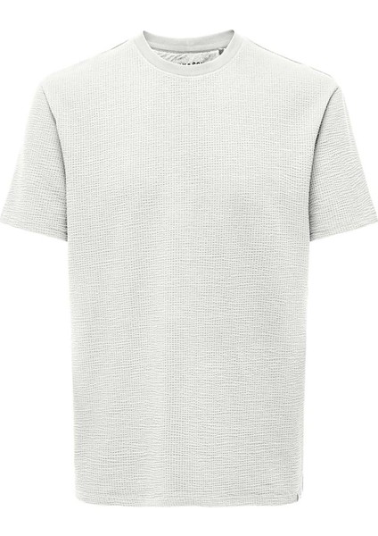 Erkek Onskıan Kare Desenli Kısa Kollu Pamuklu T-Shirt 22028692 Ekru