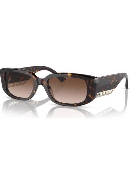 Güneş Gözlüğü Bvlgari BV8259 504/1353