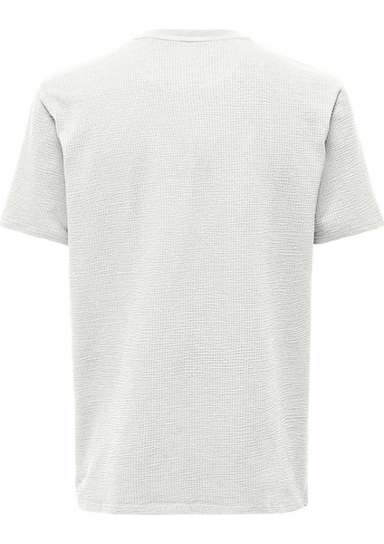 Erkek Onskıan Kare Desenli Kısa Kollu Pamuklu T-Shirt 22028692 Ekru