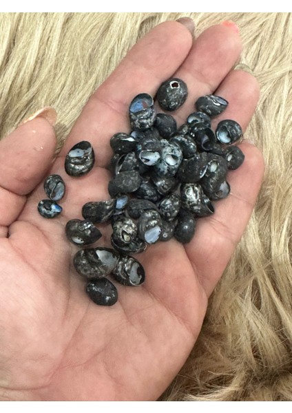 40 Adet Farklı Boylarda Siyah Salyangoz Kabuğu Delikli