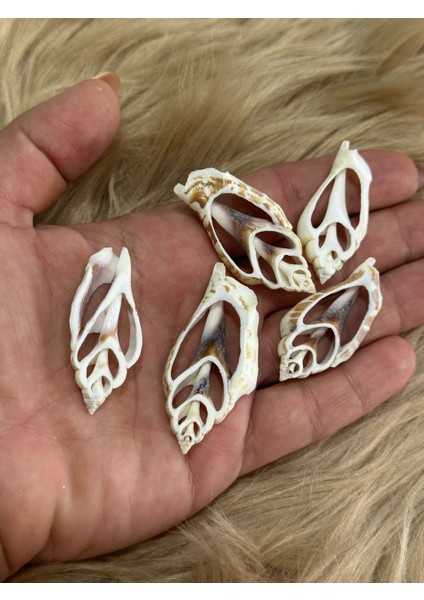 5 Adet Desenli Kemik Takı Aksesuarı Delikli 5x2 cm
