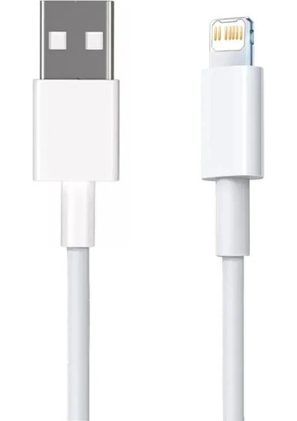 Apple iPad Ios iPhone Şarj Cihazı Aleti Lightining Kablo Adaptör 8 x Xr 11 12 13 14 fırsatları