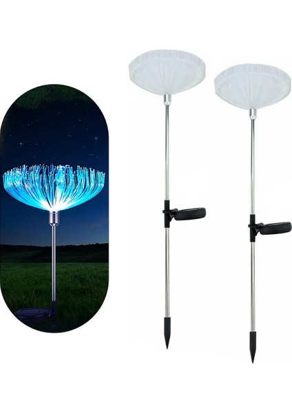Solar Ledli 7 Renk Değiştiren Bahçe Dekorasyon Aydınlatma 2li Paket (4607)