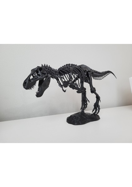 T-Rex Iskelet Figürü - Siyah - 50CM