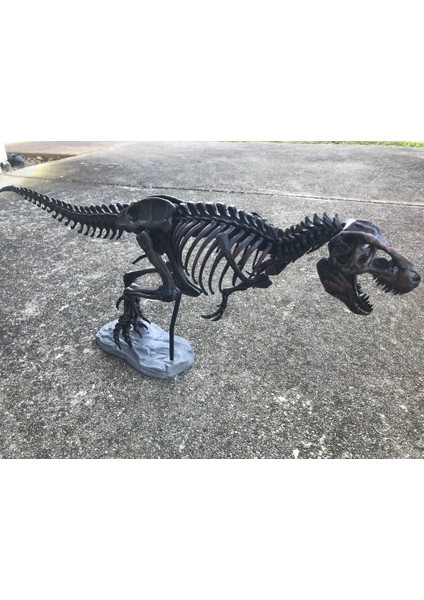 T-Rex Iskelet Figürü - Siyah - 50CM
