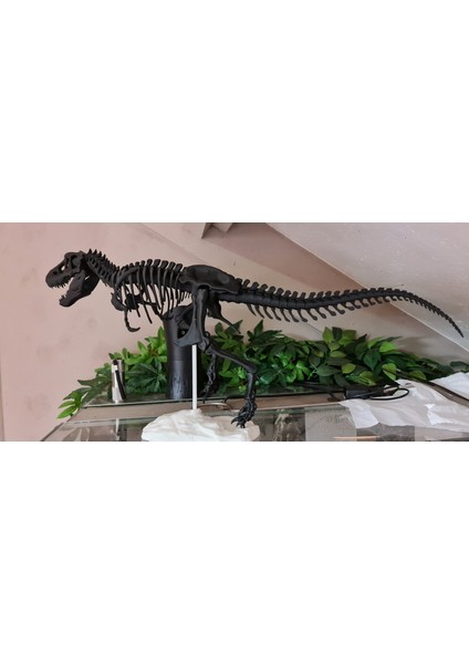 T-Rex Iskelet Figürü - Siyah - 50CM