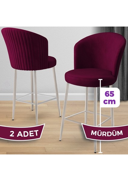 Alte Serisi 2 Adet Babyface Kumaş 65 cm Krom Kaplama Ayaklı Bar Sandalyesi