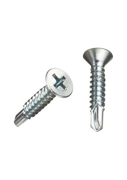 4,2X38 Yhb Matkap Uçlu Vida - Beyaz - DİN7504P - 100 Adet