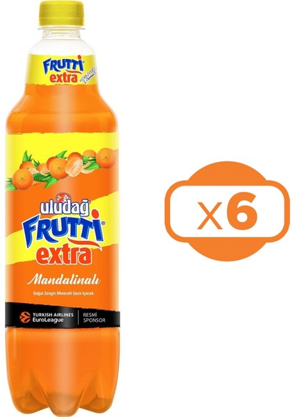 Frutti Extra Mandalinalı 1 Lt x 6 Adet