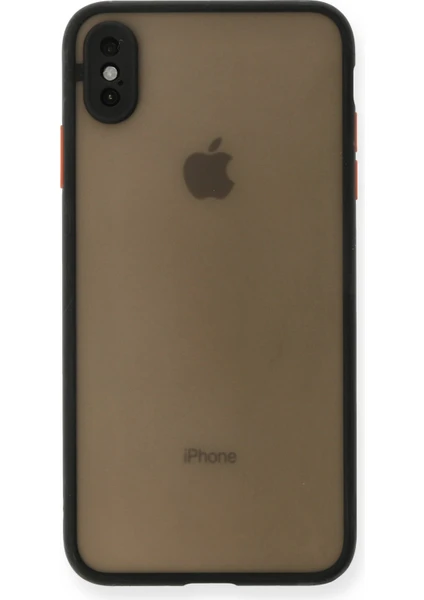 Denza Case Apple iPhone Xs Max Kılıf Kenarları Renkli Mat Kapak - Siyah