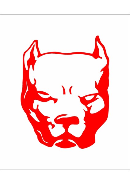 Pitbull Köpek Araba Oto Motosiklet Sticker 00435