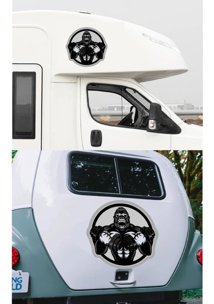 Goril Gym Hayvan Dambıl Araba Oto Motosiklet Karavan Sticker 00438 fırsatları