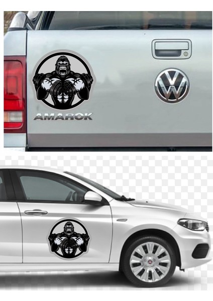 Goril Gym Hayvan Dambıl Araba Oto Motosiklet Karavan Sticker 00438 indirimleri