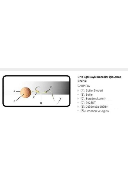 Olta Iğnesi 7025NT 10LU Ptfe (Teflon)-No:4