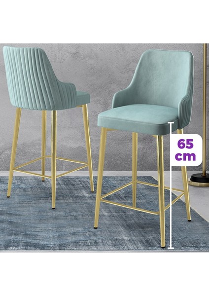 Tera Serisi 2 Adet Babyface Kumaş 65 cm Gold Kaplama Ayaklı Bar Sandalyesi fiyatları
