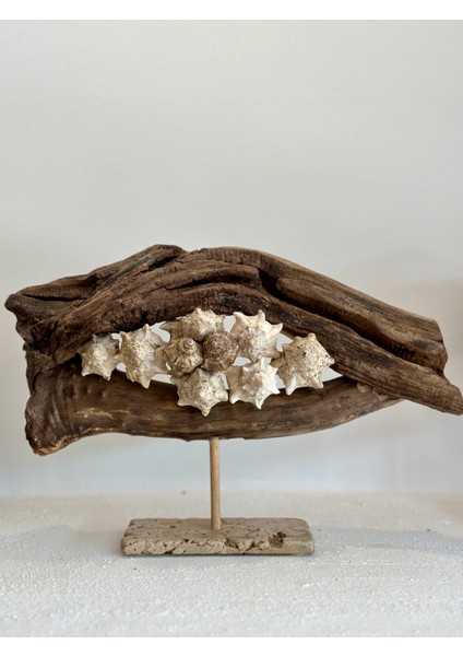 Ahşap Driftwood El Işi Dekor Biblo
