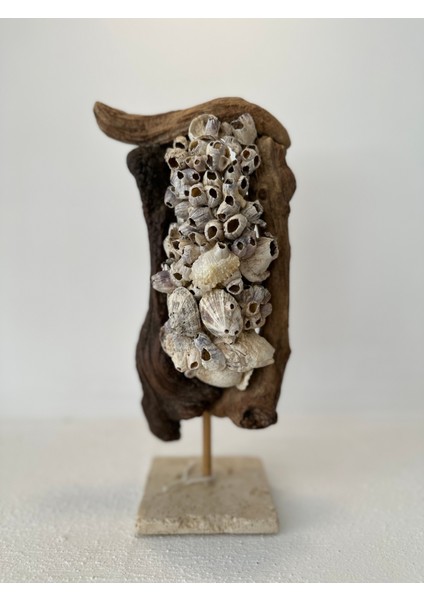 Ahşap Driftwood El Işi Dekor Biblo