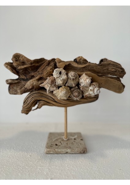 Ahşap Driftwood El Işi Dekor Biblo