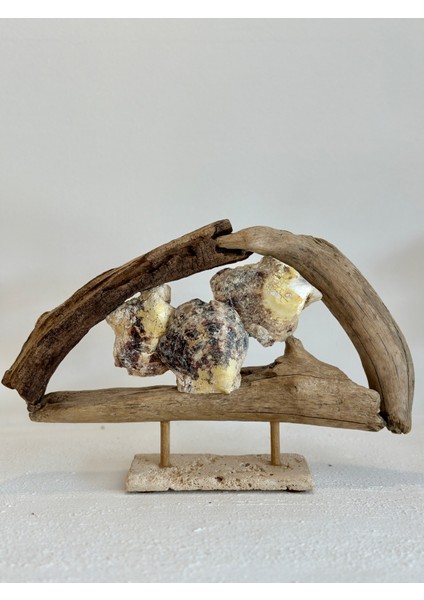 Ahşap Driftwood El Işi Dekor Biblo